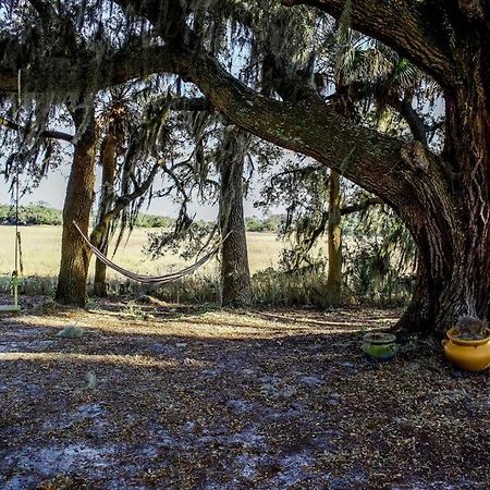 Secluded Tiny House By The Marsh With Hunting Island Beach Pass Frogmore Exteriör bild