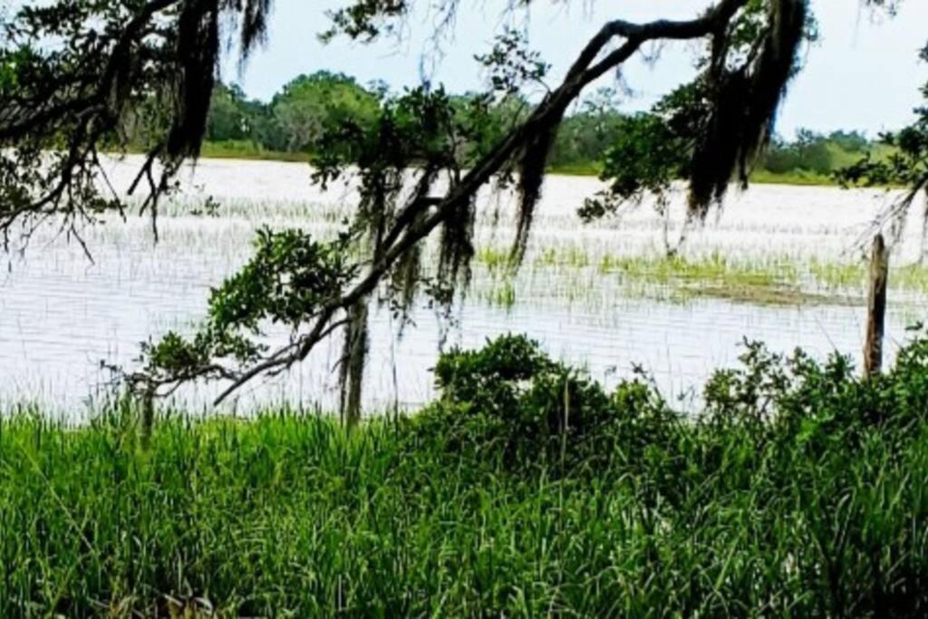 Secluded Tiny House By The Marsh With Hunting Island Beach Pass Frogmore Exteriör bild