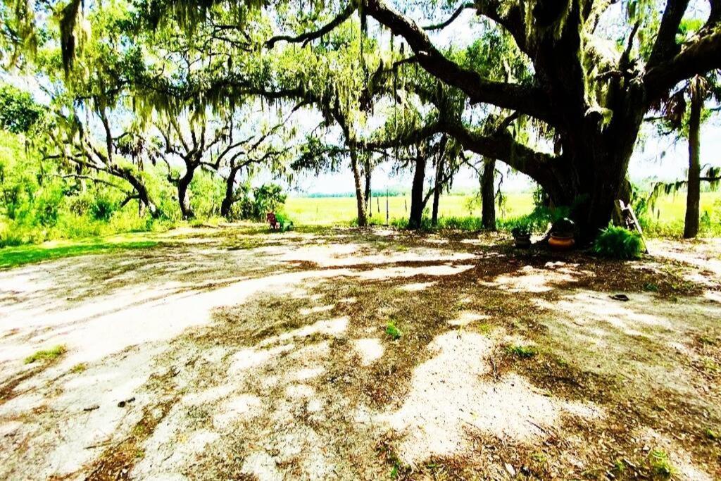 Secluded Tiny House By The Marsh With Hunting Island Beach Pass Frogmore Exteriör bild