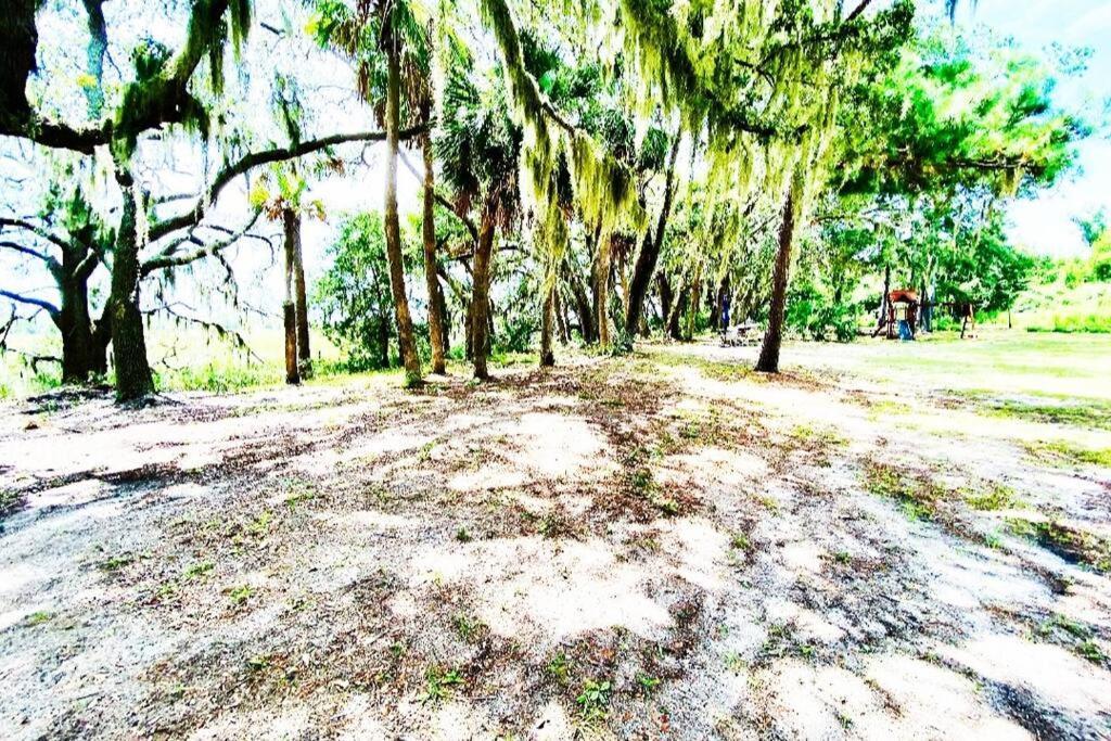 Secluded Tiny House By The Marsh With Hunting Island Beach Pass Frogmore Exteriör bild