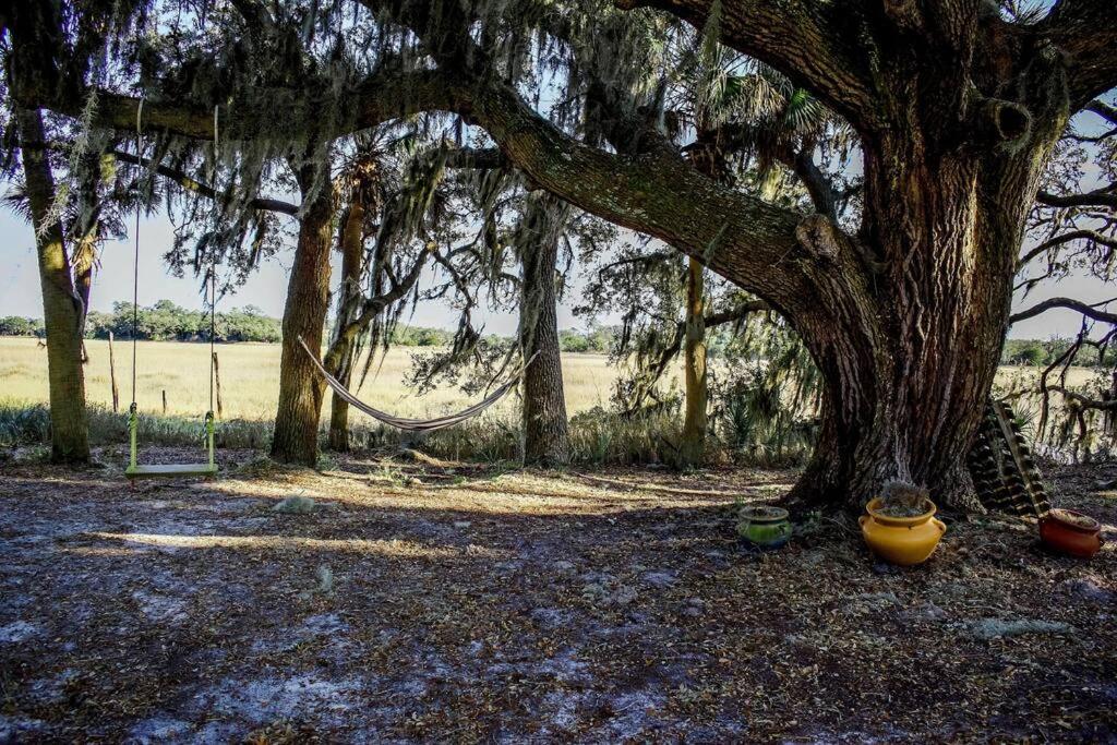 Secluded Tiny House By The Marsh With Hunting Island Beach Pass Frogmore Exteriör bild